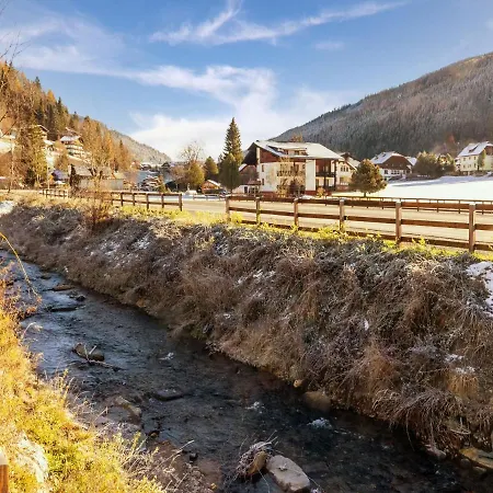 Near Bad Kleinkirchheim With E-bike Station Apartment Zirkitzen
